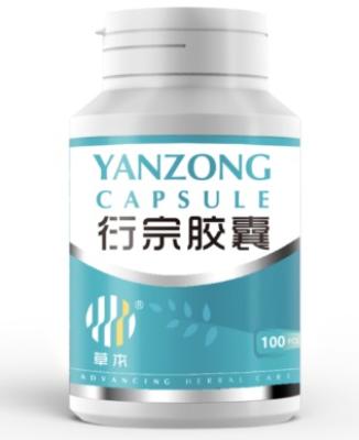 Yanzong Capsule